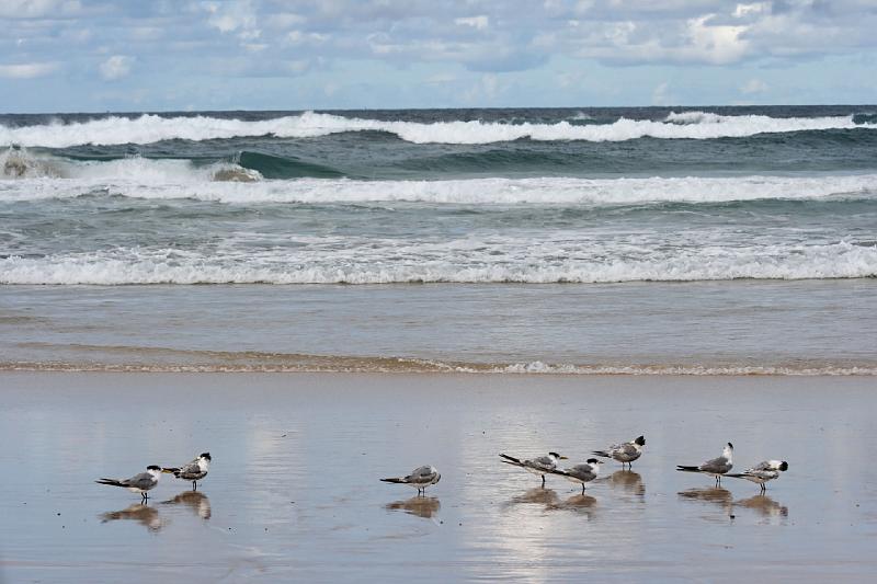 2007 05 15 Fraser Island 045-1_DXO.jpg